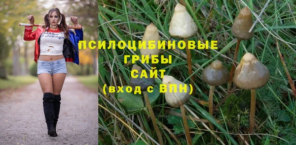 первитин Арсеньев