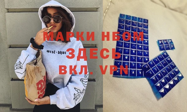 индика Аркадак