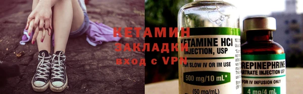 индика Аркадак