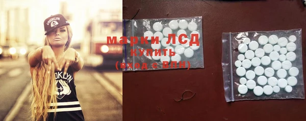 индика Аркадак