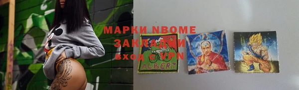 индика Аркадак