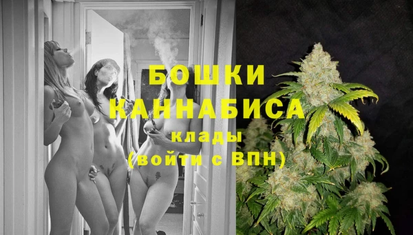 каннабис Покачи