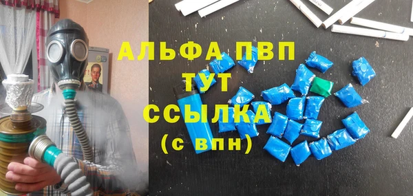 индика Аркадак