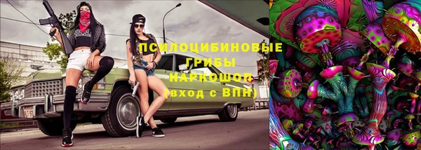 индика Аркадак