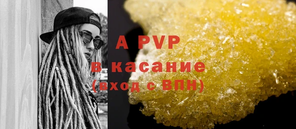 индика Аркадак