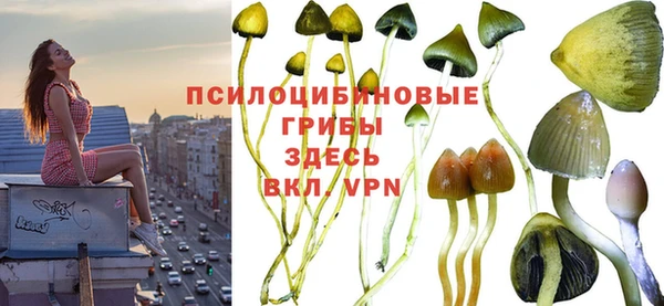 МДПВ Покровск
