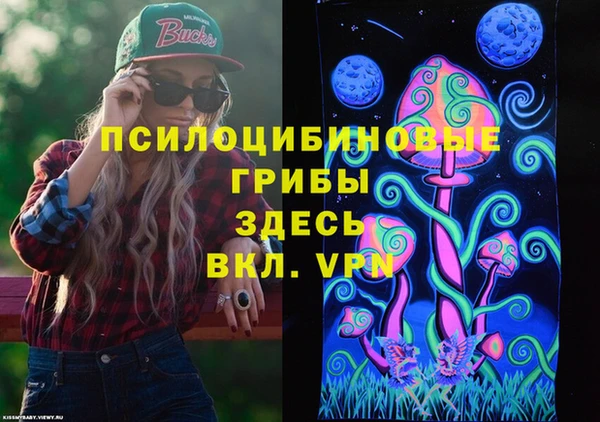 индика Аркадак