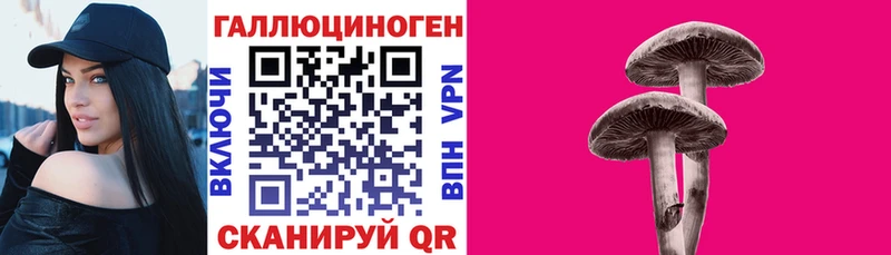 hydra онион  Майский  Псилоцибиновые грибы GOLDEN TEACHER 